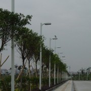 DSC00101.JPG
